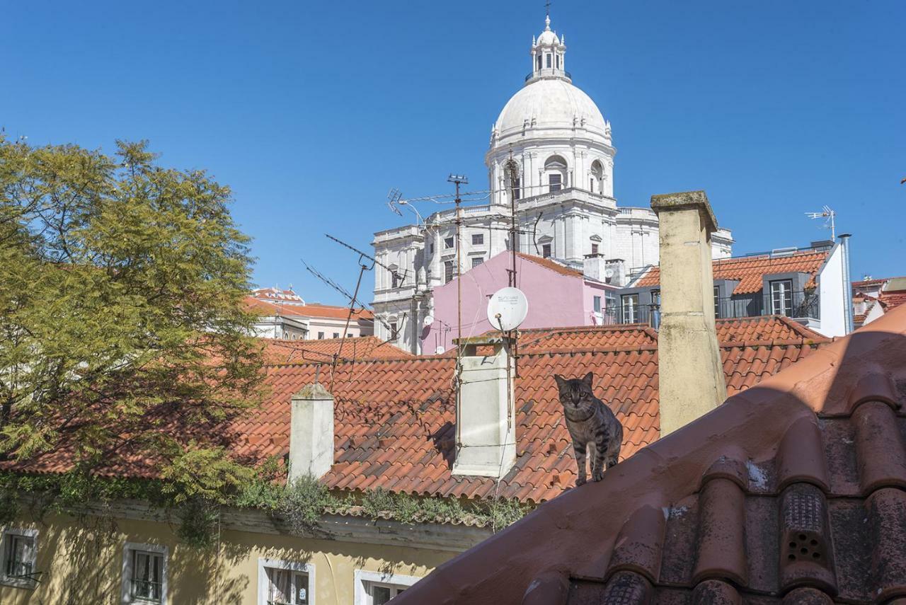 阿尔法玛河景当地旅行家庭公寓 Lisboa 外观 照片